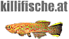 Wien - Killifisch Aquarienverein