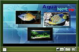 Aquanet TV
